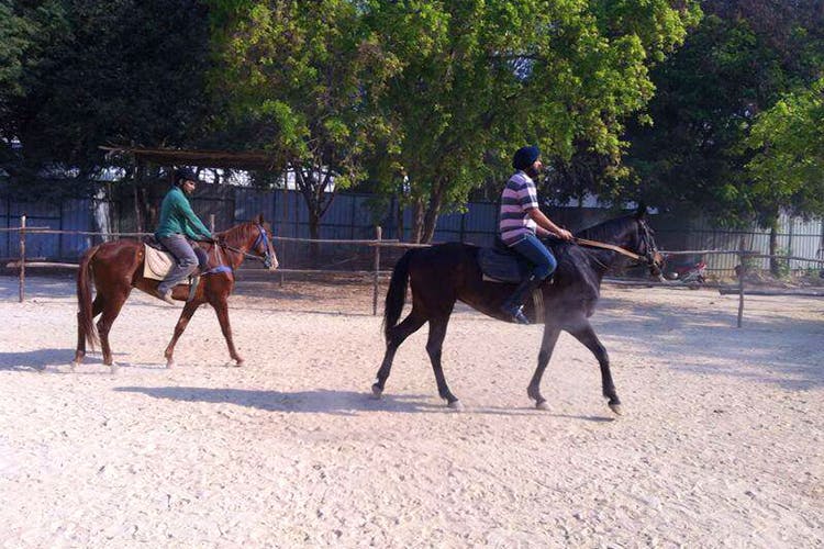 Top 7 horse riding schools in Bangalore - Princess Riding Academy