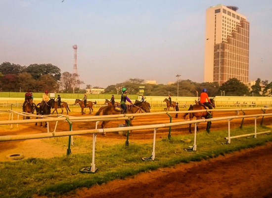 Bangalore Amateur Riding Institute