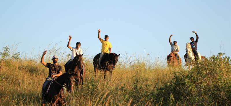 Top Horse Riding Schools in Bangalore - Zippy Horse Riding Academy