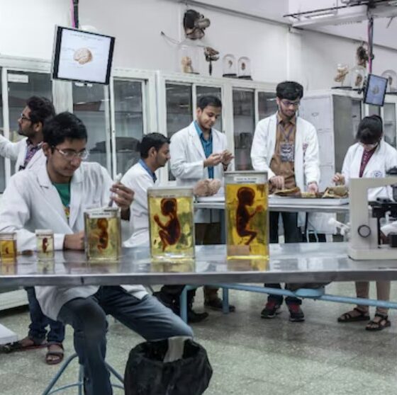 Medical colleges in Mumbai