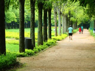 Best Parks in Bangalore & Best Lakes in Bangalore to Visit