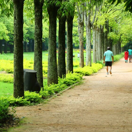 Best Parks in Bangalore & Best Lakes in Bangalore to Visit