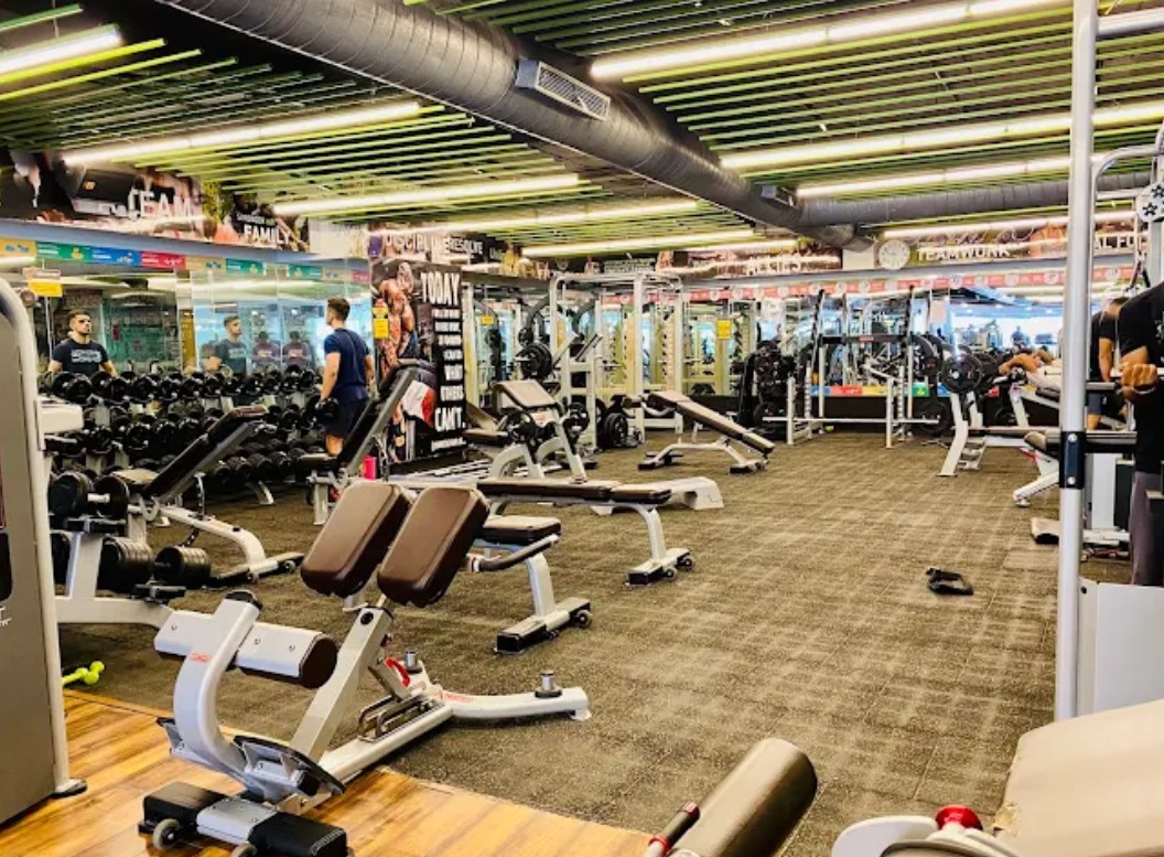 Gold's gym - Gyms in Whitefield