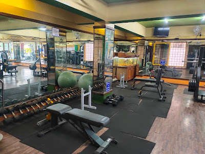 Close-up of a dumbbell rack stocked with various free weights in a fitness center.