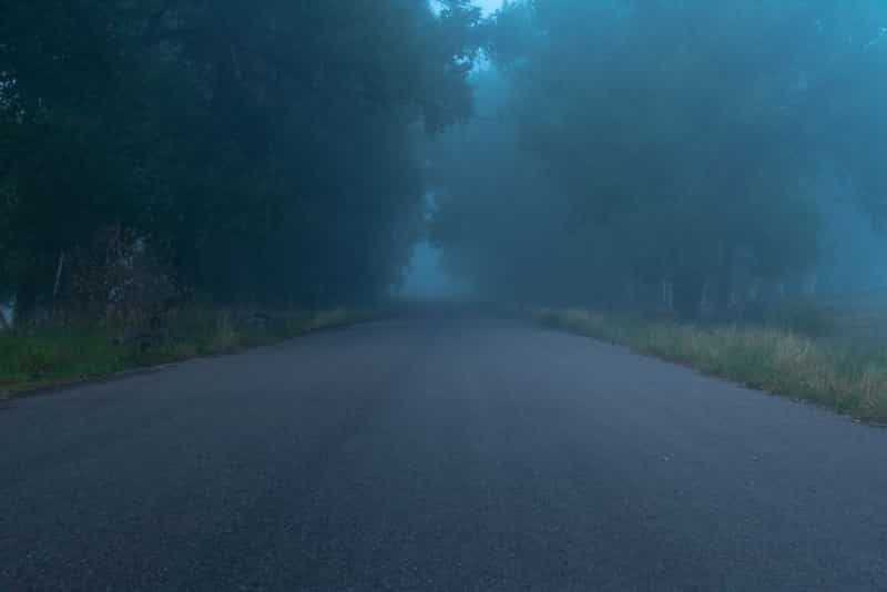 A desolate, tree-lined Hoskote Route covered in mist, famous for encounters with the spectral old lady and counted among the Haunted Places in Bangalore.
