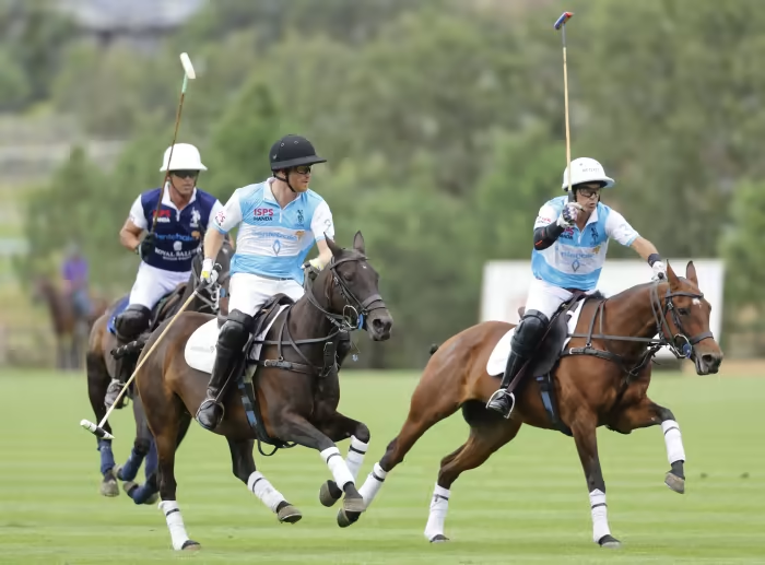 A high-goal polo match with players on ponies, highlighting one of the most expensive equestrian sports ever played